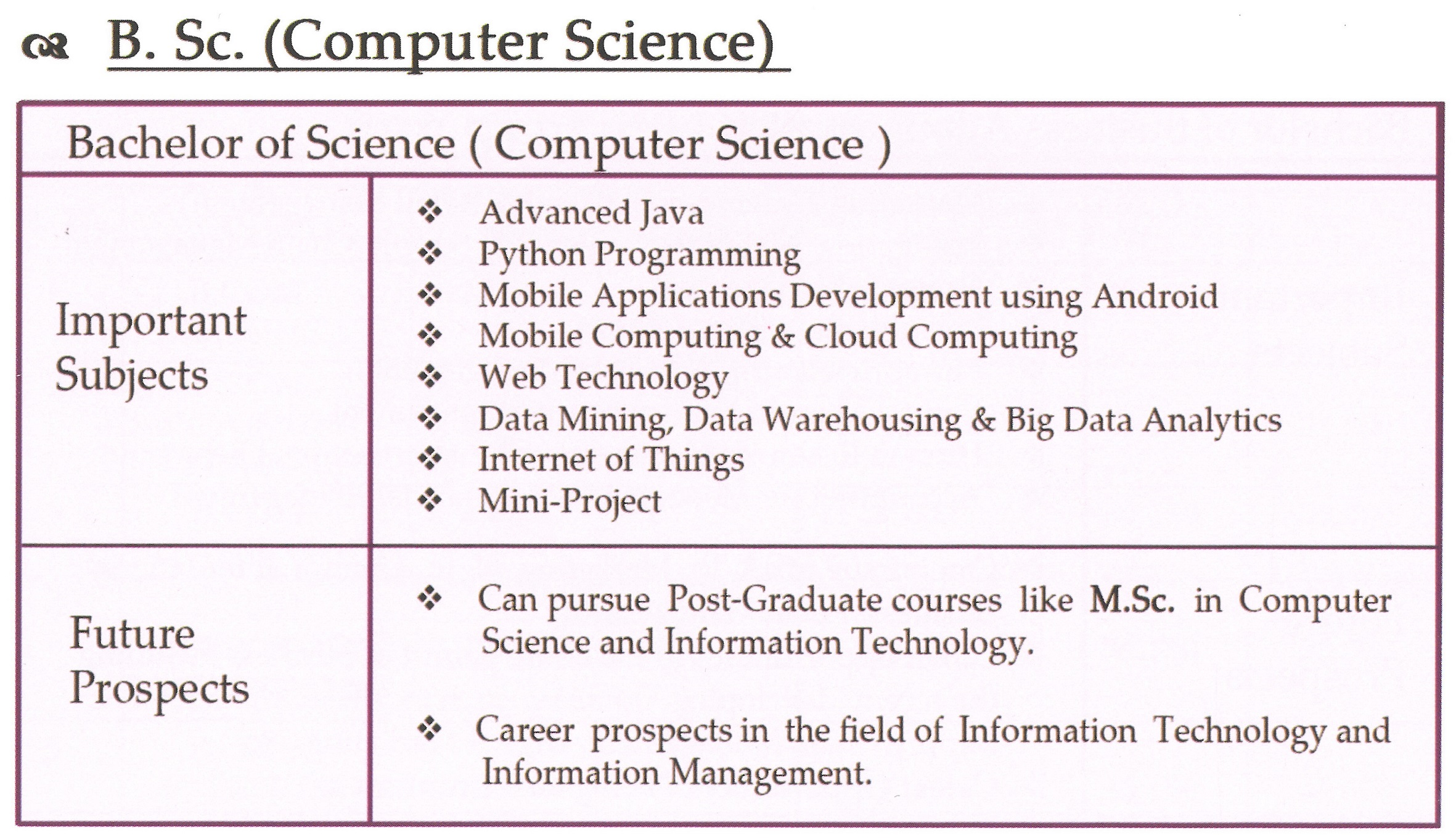 B Sc Hons Computer Science Subjects